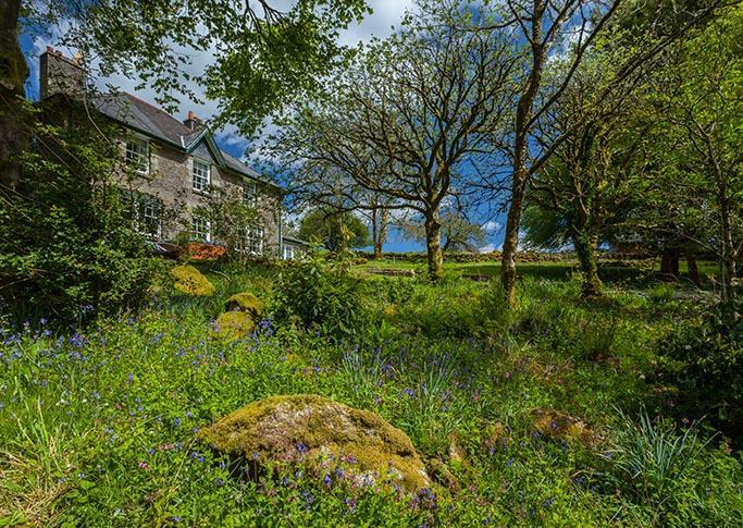 Wydemeet Bed & Breakfast Yelverton Luaran gambar